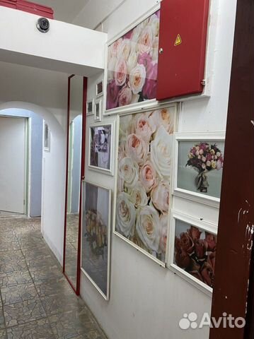 Помещение свободного назначения Помещение свободного назначения