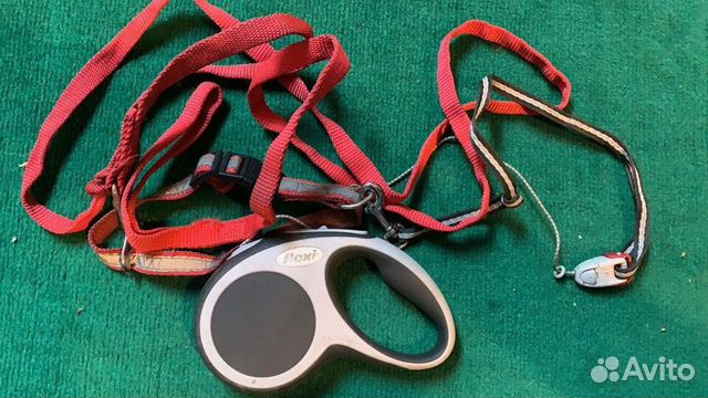 Поводок-ошейник