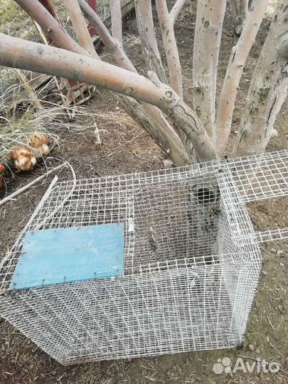 Клетки для кроликов