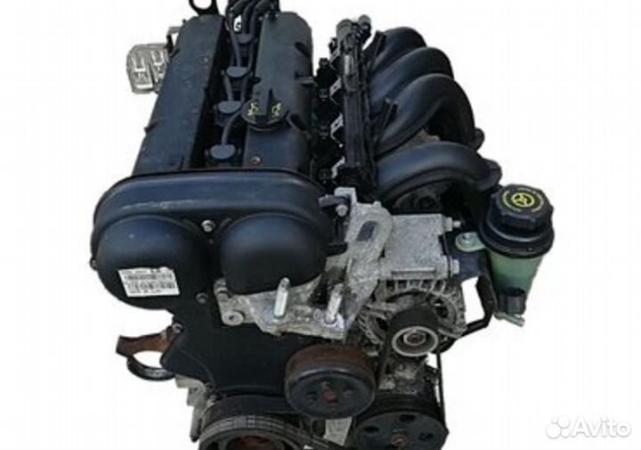 Двигатель ford focus 2 1.6 100 л с shda