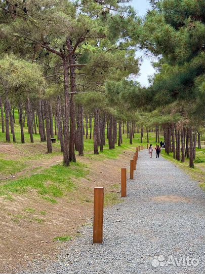 Новогодний тур по Дагестану