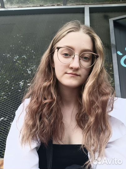 Передержка кошек