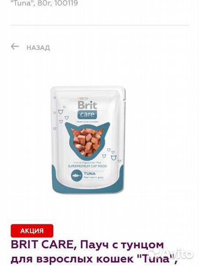 Влажный корм для кошек