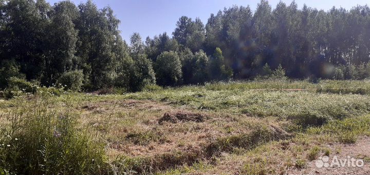 Покос травы/Работы на садовом участке/Удаление