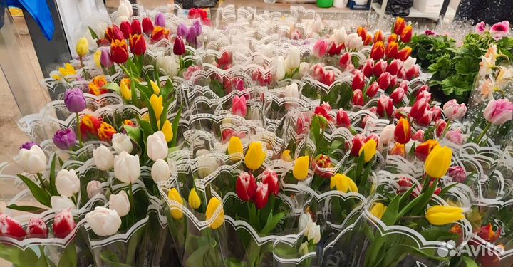 Цветы уличные