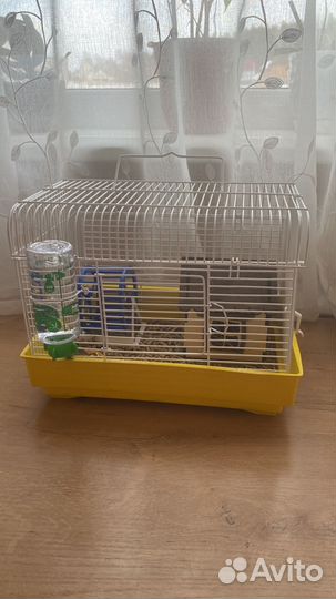 Продаю джунгарского хомяка с клеткой