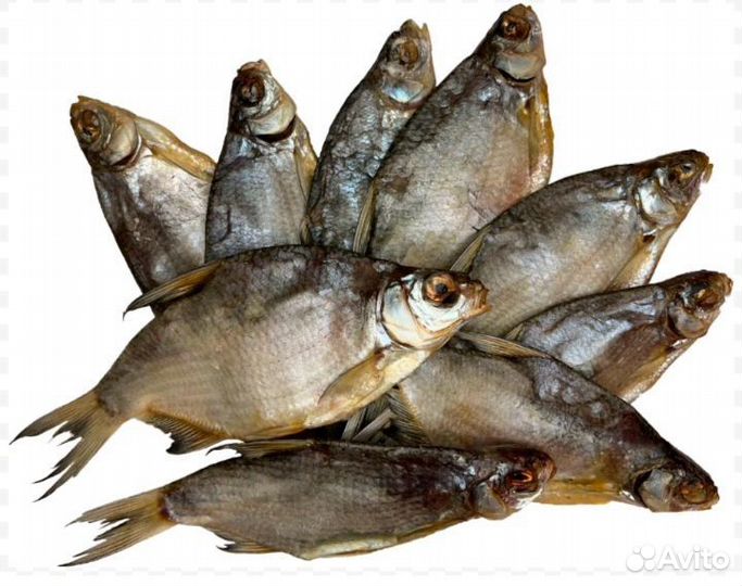 Рыба тарань