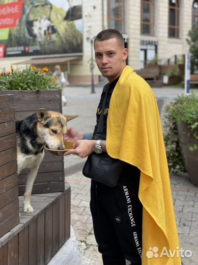 Автоподбор