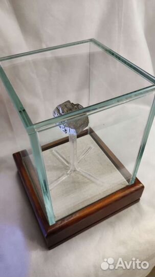 Стеклянный колпак для хранения предметов