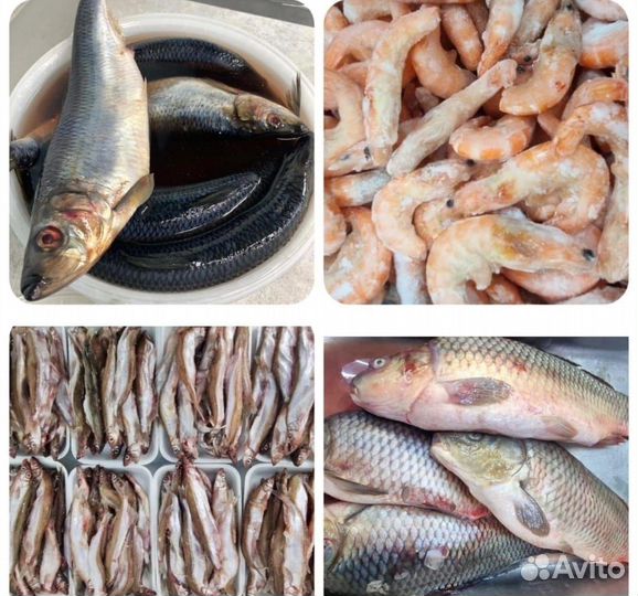 Рыба и морепродукты