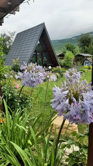 Дом 35 м² на участке 1 сот.