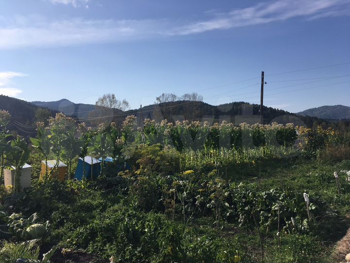 Дом 60 м² на участке 25 сот.