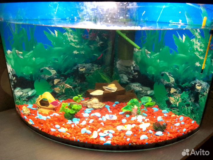 Аквариум