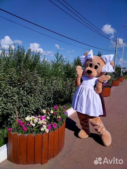 Ростовая кукла. Мишка. Аниматор. Поздравление