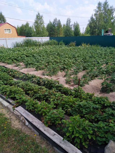 Дача 30 м² на участке 8 сот.