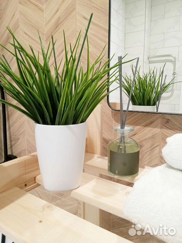 Травка в кашпо осока