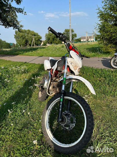 Virus pitbike 125 2021