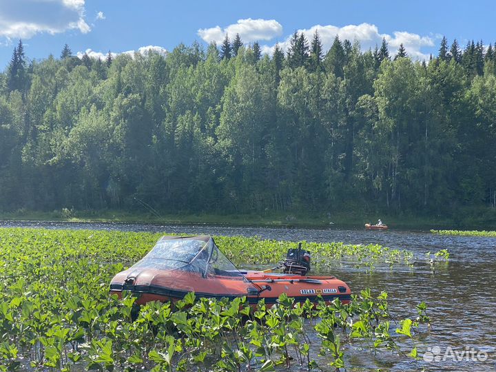 Аренда лодки Sоlаr 420 Strelа Jet Тunnel mercury