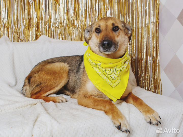 Вернули как вещь