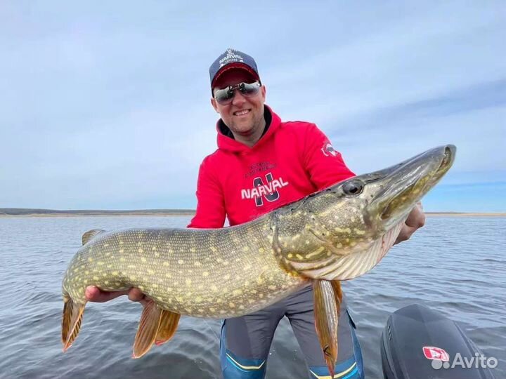 Рыбалка с Гидом в Воронеже