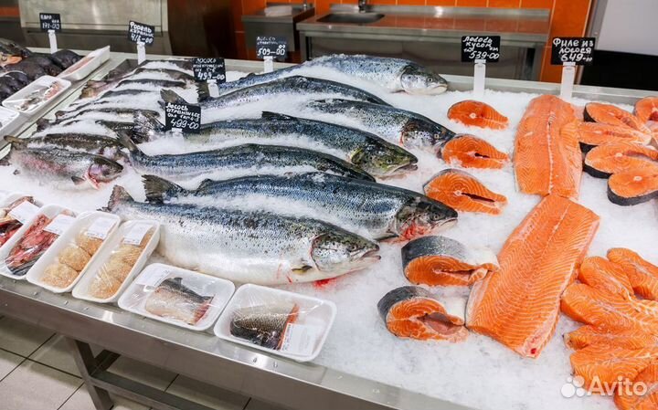 Продам прибыльный рыбный магазин – готовый бизнес с потенциалом роста