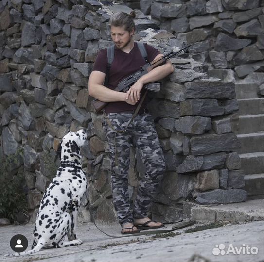 Зоопсихолог (коррекция поведения)