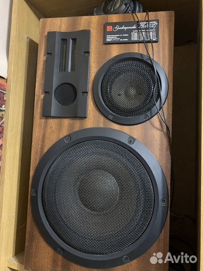 Колонки Электроника 25ас027