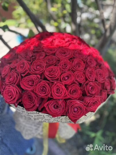 Букет роз, 31, 51, 101 с доставкой
