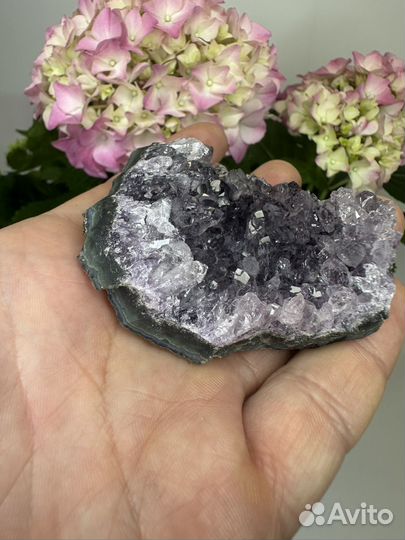 Друза Аметиста