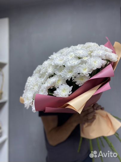 Хризантема кустовая