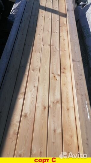 Планкен косой лиственница