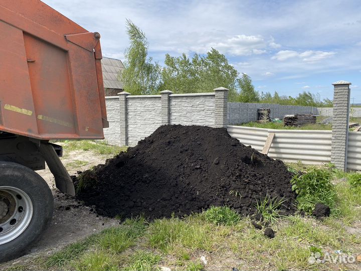 Чернозем плодородный