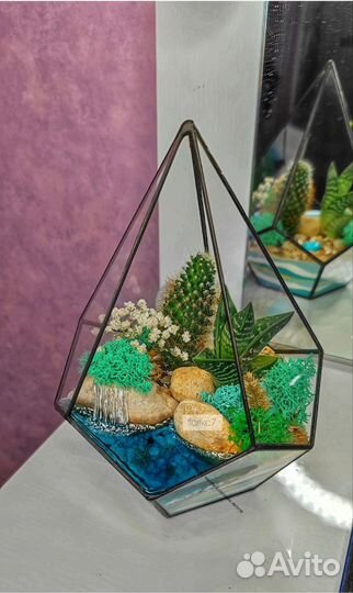 Флорариум для дома и дачи