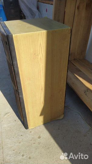 Колонки Вега 50ас 106