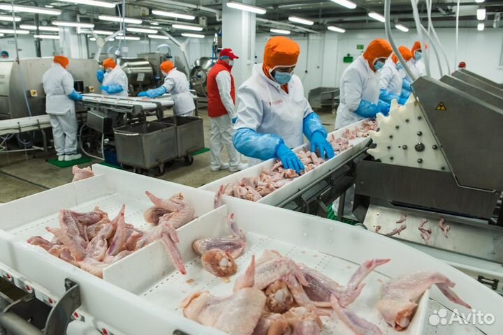 Оператор-комплектовщик, - упаковщик