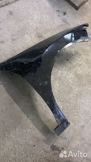 Крылья аккорд 8