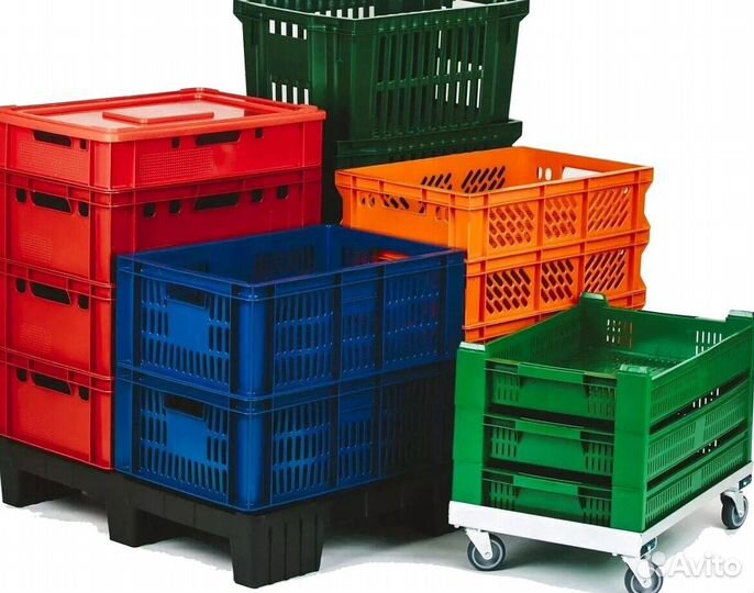 Ящики пластмассовые плодово-овощные