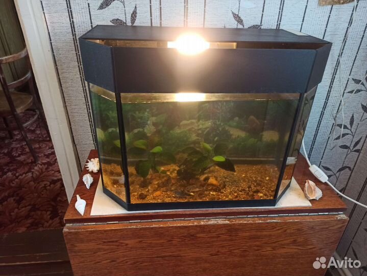 Аквариум 60 л. Комплект