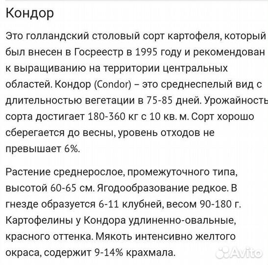 Продам картофель