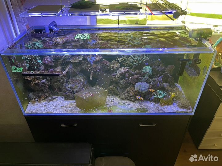 Морской аквариум дл заселения