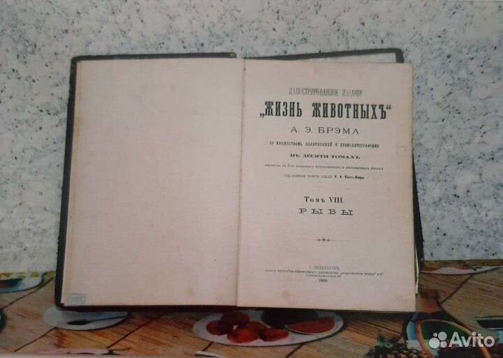 Альфред брем 