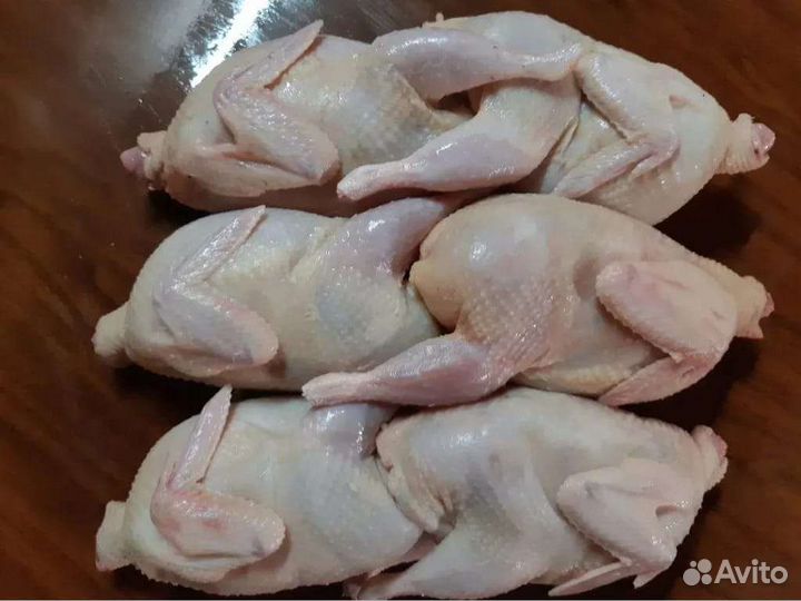 Мясо яйца перепелов