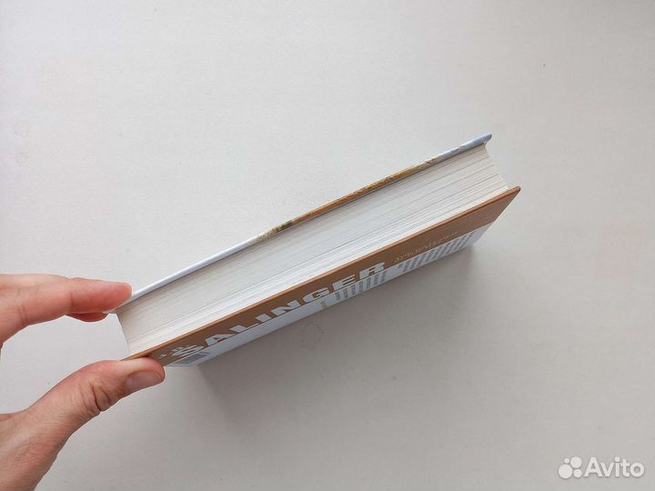 Над пропастью во ржи, Д.Д.Сэлинджер. Книга