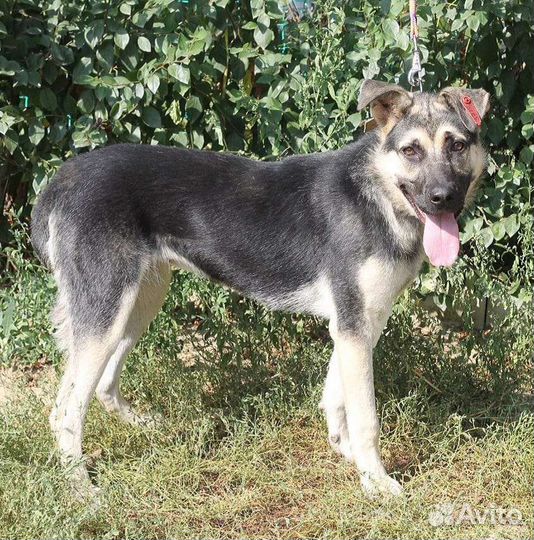 Милаха ищет тех, кого будет любить и доверять