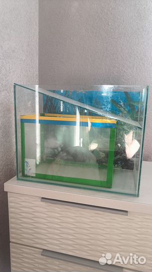 Аквариум