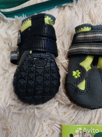 Обувь для собак