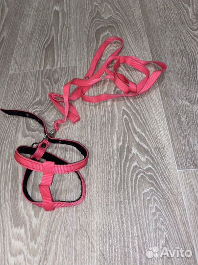 Поводок со шлейкой для кошкек