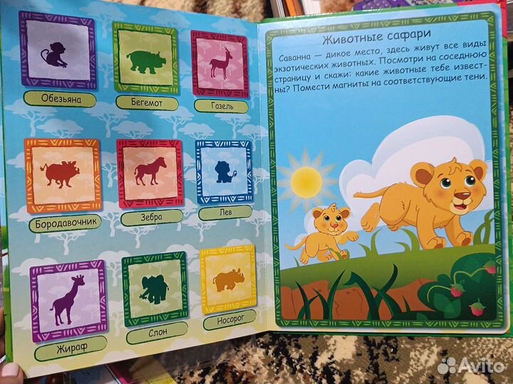 Книжка с магнитами