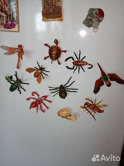 Живые букашки-магнитики