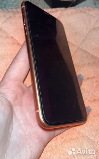 iPhone xr